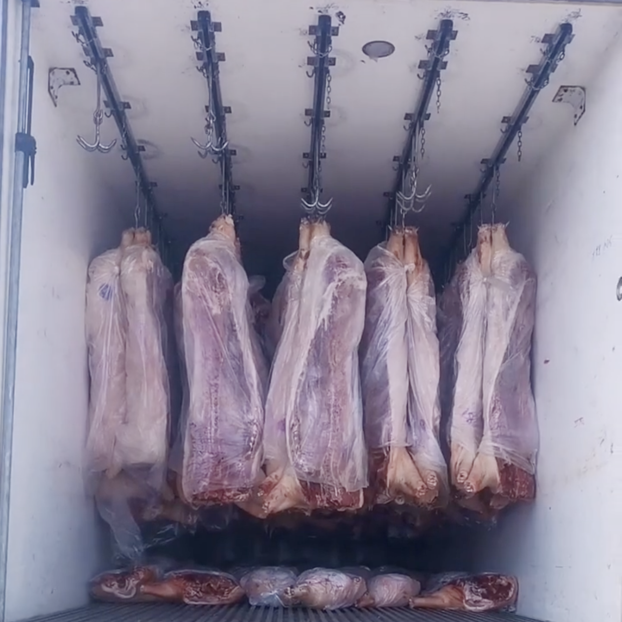 Carrocería de camión refrigerado para colgar en el techo de Meat Carass